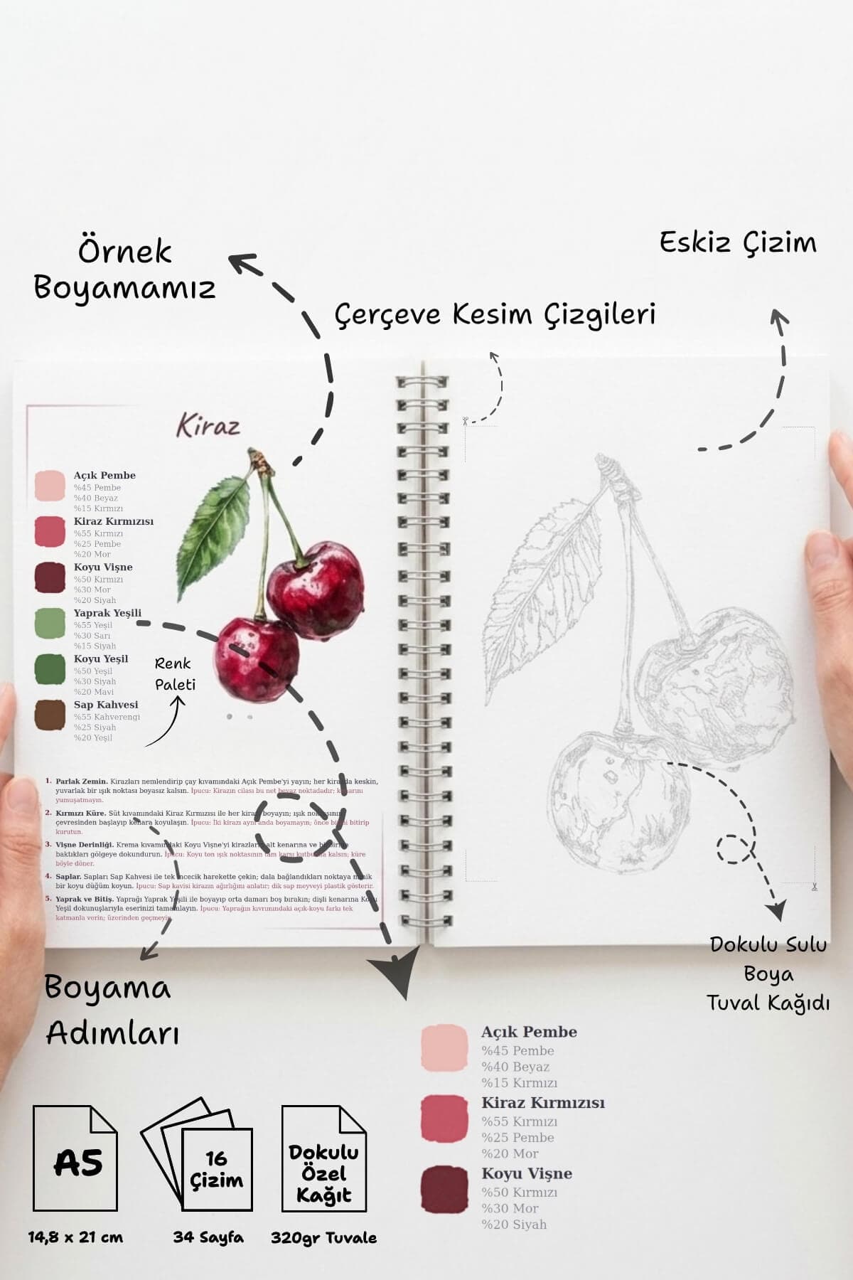 Meyveler Açıklamalı Sulu Boya Seti: Suluboya Defterim (5/7)